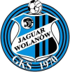 Jaguar Wolanw