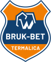Bruk-Bet Termalica II Nieciecza