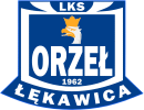 Orze kawica