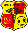 FK Gorodieja