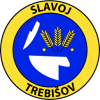 FK Slavoj Trebiov