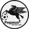Pegasus SC Chicago
