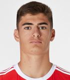 António João Pereira Albuquerque Tavares Silva