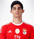 Gonçalo Manuel Ganchinho Guedes