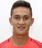Ra�l Gudiño