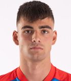 Pavel Ha�ek