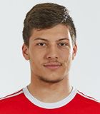 Luka Jović