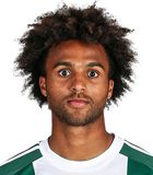 Erik Palmer-Brown