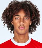 Tomás Franco Tavares