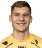 Nino �ugelj