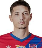 Zoran Arseni�