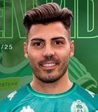 Luis Fernndez