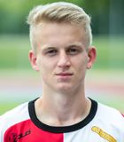 Marcin �widerski